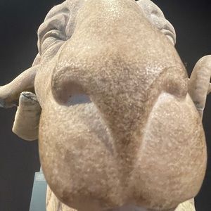 Meet your Posher, Avery